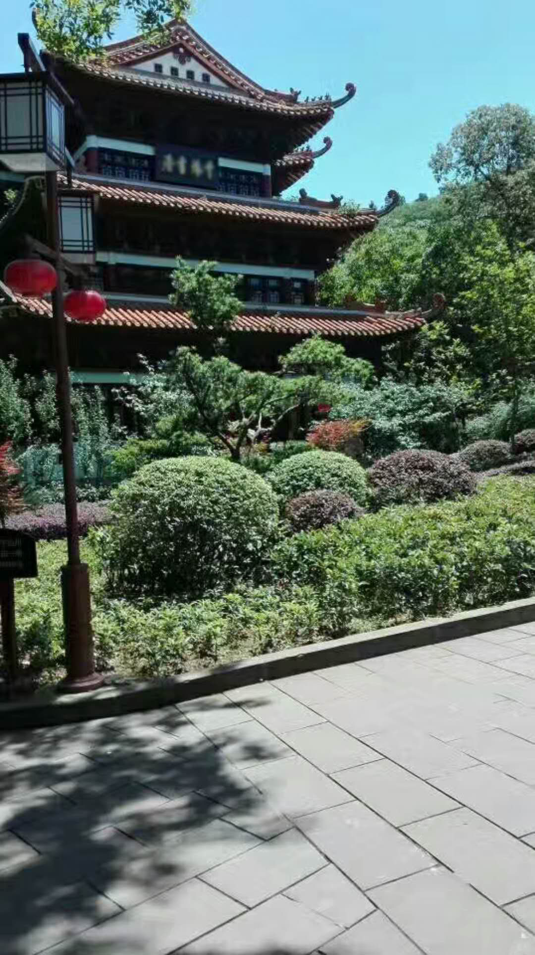 廣東揭陽(yáng)50套led庭院燈如期安裝完成！